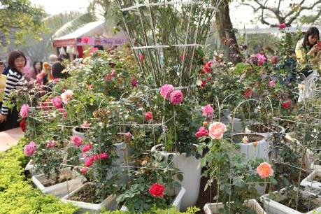 Ban tổ chức Lễ hội hoa hồng Bulgaria bị lập biên bản nhắc nhở