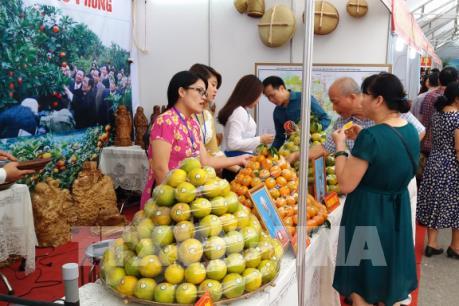 Xây dựng thương hiệu nông sản: Tìm sự đồng thuận