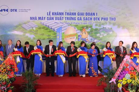 Chính thức vận hành Nhà máy sản xuất trứng gà sạch ĐTK Phú Thọ