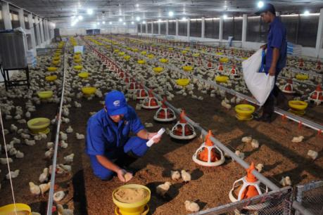 Nghị quyết 19/2017 thúc đẩy tinh thần khởi nghiệp