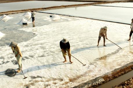 Giá muối tăng do sản lượng giảm mạnh
