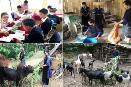 Hơn 2 triệu lượt hộ tại vùng khó khăn được vay vốn chính sách 