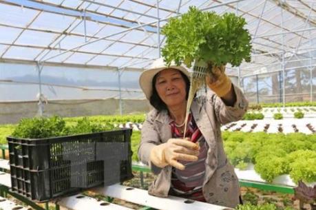 Đảm bảo nguồn điện cho sản xuất nông nghiệp công nghệ cao
