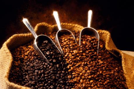 Dự báo giá cà phê tuần từ 6/3 - 11/3