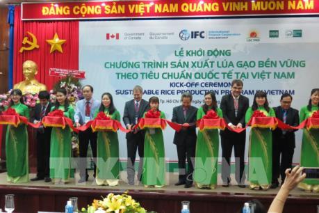 Nông dân Việt Nam sản xuất lúa gạo bền vững theo tiêu chuẩn quốc tế