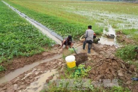 Mùa khô năm 2017: Hạn mặn giảm, mưa trái mùa kéo dài