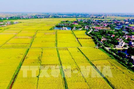 Thái Nguyên dành hơn 840 tỷ đồng thực hiện tái cơ cấu nông nghiệp