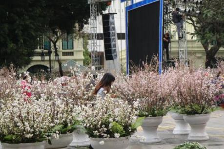 Dự báo thời tiết ngày mai 11/3: Hà Nội và các khu vực trên cả nước đều có nắng