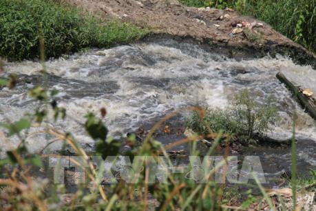 Ô nhiễm nghiêm trọng tại suối Reo ở Đồng Nai