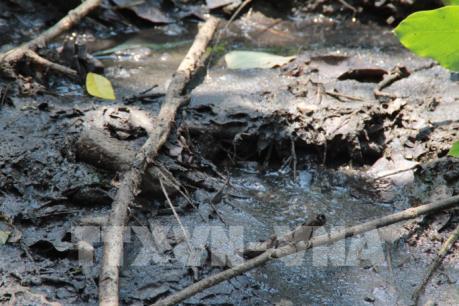 12 “điểm nóng” gây ô nhiễm môi trường tại Đồng Nai