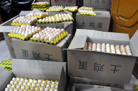 Liên tiếp bắt giữ 2 vụ vận chuyển 18.000 quả trứng gà nhập lậu tại Móng Cái