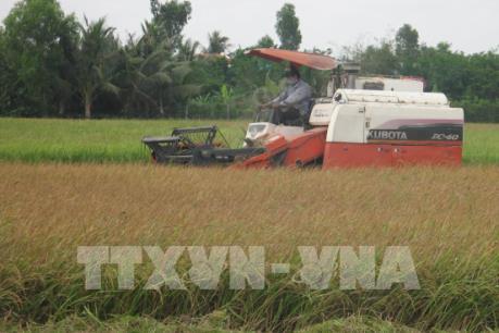 Nông dân Quảng Ngãi tập trung chăm sóc, bảo vệ lúa Đông Xuân