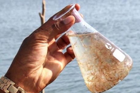 Hơn 50% diện tích nuôi Artermia tại Sóc Trăng bị thiệt hại