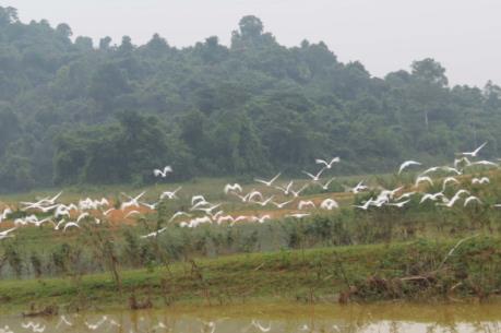 Đánh thức tiềm năng du lịch sinh thái tại Thanh Hóa