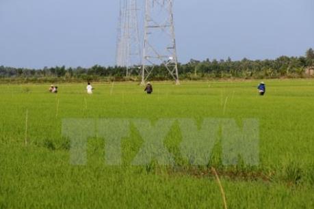 Chính phủ thống nhất mở rộng hạn điền, tích tụ ruộng đất