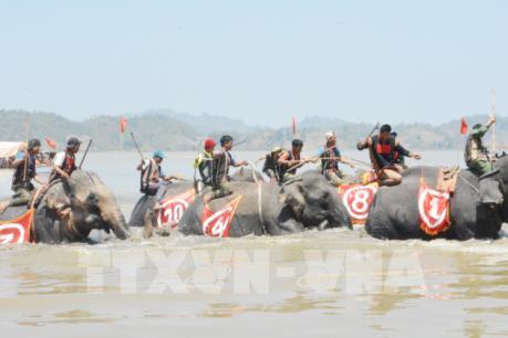 Lễ hội cà phê Buôn Ma Thuột lần thứ 6: Tưng bừng hội đua voi và thuyền độc mộc