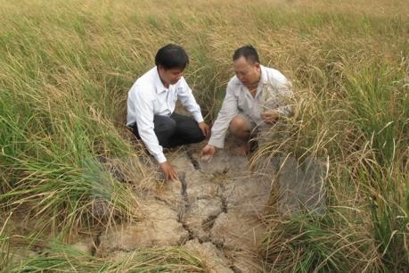 Không nên chủ quan, lơ là với hạn mặn