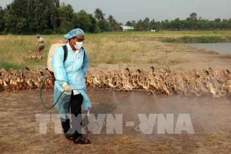 Hà Nội diễn tập chủ động phòng, chống dịch cúm gia cầm A/H7N9