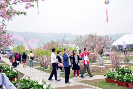 Hàng giả, hàng nhái "trà trộn" tại lễ hội hoa Anh đào – Mai vàng Yên Tử