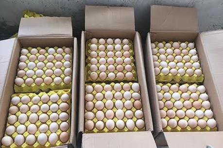 Quảng Ninh phát hiện, tiêu hủy gần 25 nghìn quả trứng gà nhập lậu