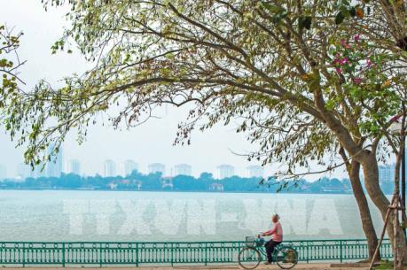 Dự báo thời tiết 3 ngày tới: Từ 8/4, nắng nóng mở rộng, có nơi trên 37 độ C