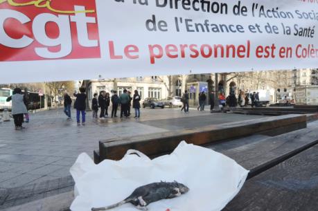 Công nhân môi trường Paris đòi tăng tiền thưởng do phải làm việc quá tải vì chuột