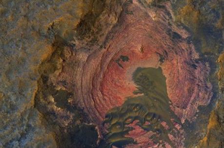 Hóa thạch 1,6 tỷ năm làm lung lay giả thuyết về lịch sử sự sống trên Trái Đất