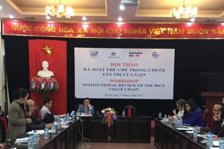 Rà soát thể chế quản lý chuỗi giá trị lúa gạo