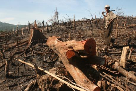 Khởi tố nguyên Đội trưởng Đội phòng chống khủng bố 