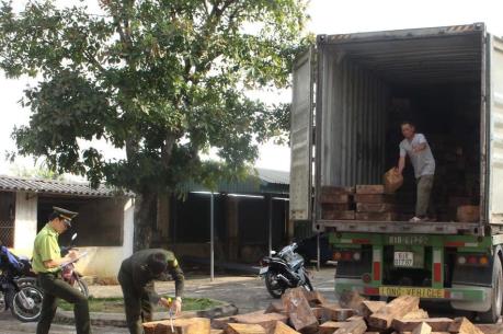 Quảng Ngãi: Bắt giữ xe chở 20 tấn gỗ không rõ nguồn gốc