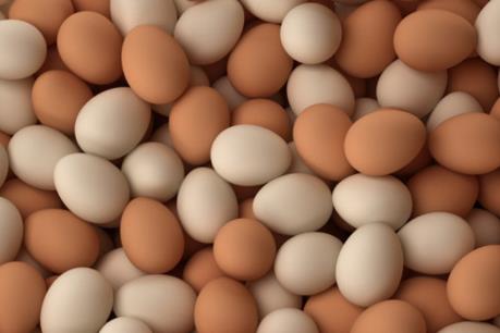 Sắp có thêm nguồn cung trứng gà sạch cho thị trường
