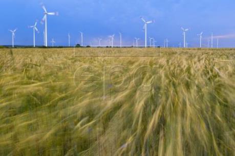 Nhật Bản sẽ tăng công suất sản xuất điện gió lên gấp 10 lần