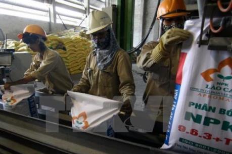Quản lý chất lượng phân bón: Còn nhiều trở ngại