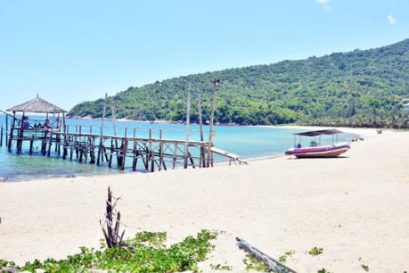 Đà Nẵng đình chỉ thi công dự án du lịch trên bán đảo Sơn Trà