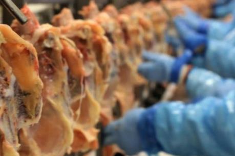 Chính phủ Brazil họp khẩn cấp sau bê bối về chất lượng thịt