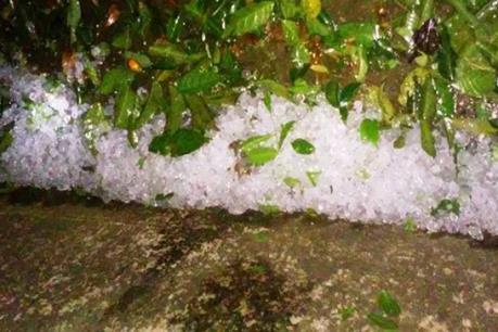 Thanh Hóa: Khẩn trương khắc phục hậu quả do mưa đá kèm theo lốc xoáy