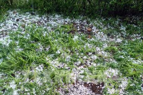 Dự báo thời tiết hôm nay 1/4: Các tỉnh từ Nghệ An đến Quảng Ngãi đề phòng tố lốc, mưa đá