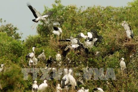  Vườn quốc gia Tràm Chim hấp dẫn du khách