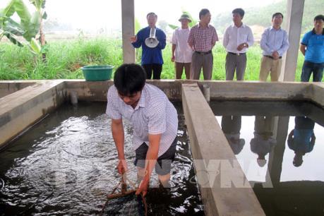 Thái Nguyên tư vấn kỹ thuật cho người nuôi cá nước ngọt