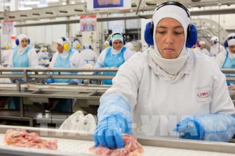 Bê bối thịt bẩn Brazil: Canada dừng nhập khẩu thịt của hai nhà sản xuất lớn nhất Brazil