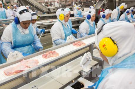 Sau bê bối thịt bẩn, kim ngạch xuất khẩu thịt bò của Brazil tháng 3/2017 chỉ giảm nhẹ