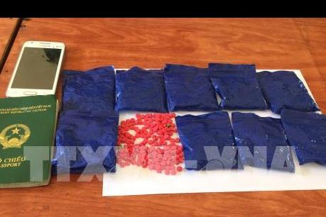 Triệt phá đường dây mua bán trái phép ma túy với số lượng lớn