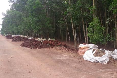 Đồng Nai: Điều tra, làm rõ việc đổ hàng ngàn tấn chất thải giữa rừng tràm