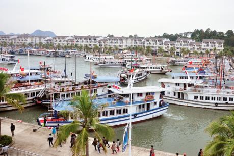 Quảng Ninh: Đắm tàu trong âu cảng quốc tế Tuần Châu