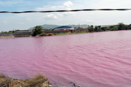Hồ chứa nước khu chế biến hải sản Tân Hải chuyển màu đỏ, tràn ra sông