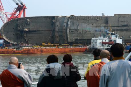 Hàn Quốc: Tìm thấy di hài nghi của một nạn nhân mất tích trong vụ chìm phà Sewol