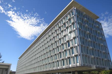 WHO cảnh báo dịch sởi bùng phát khắp châu Âu