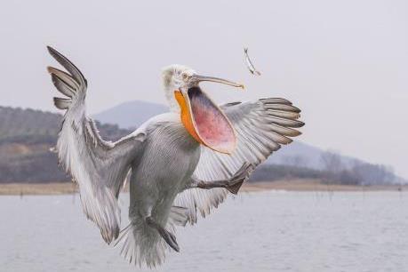 Chênh vênh ở tòa nhà cao nhất thế giới