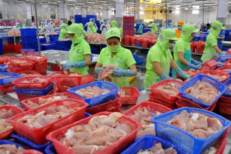 Xây dựng Trung tâm thông tin phản ứng nhanh về thị trường cá tra