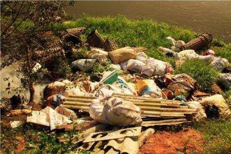 Tuyên Quang: Xác lợn ốm chết bị vứt la liệt ở bờ sông